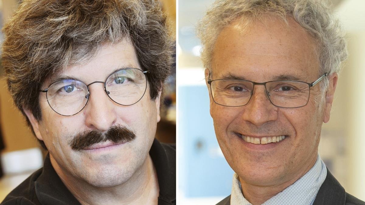 Heartfelt congratulations to Victor Ambros and Gary Ruvkun for winning the #NobelPrize in Physiology or Medicine 2024! Your pioneering discovery of microRNA and its role in gene regulation is a major leap in understanding biology! 🧬🔬 #NobelMedicine  #Genetics #citefactor