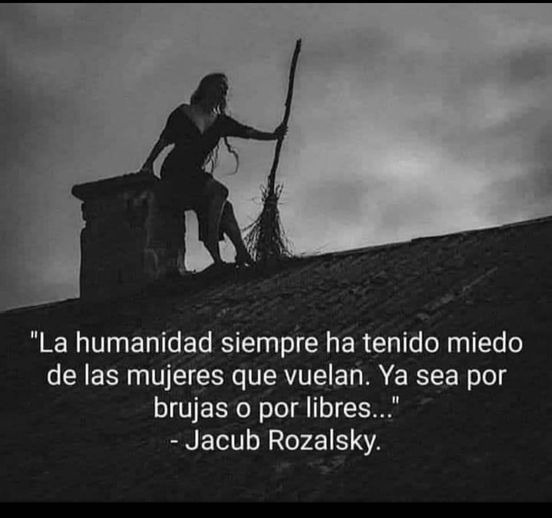 Bibliomaniatico's tweet photo. "La humanidad siempre ha tenido miedo de las mujeres que vuelan. Ya sea por brujas o por libres".

Jacub Rozalsky. https://t.co/iG5ky7p0lN