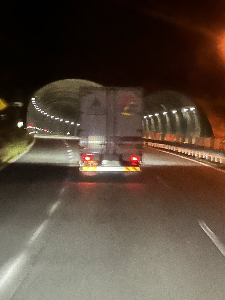 鳳凰めだか【旧まっぽん】 tweet media