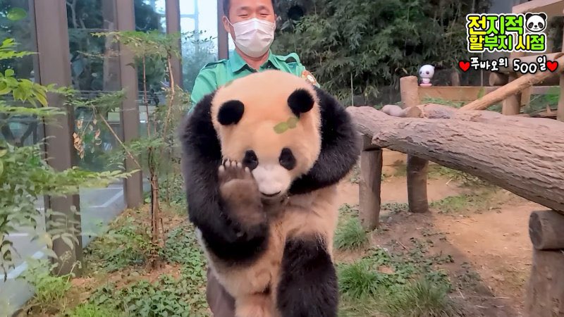hkkowloon's tweet photo. 빠샤 https://t.co/SFucPWevVg