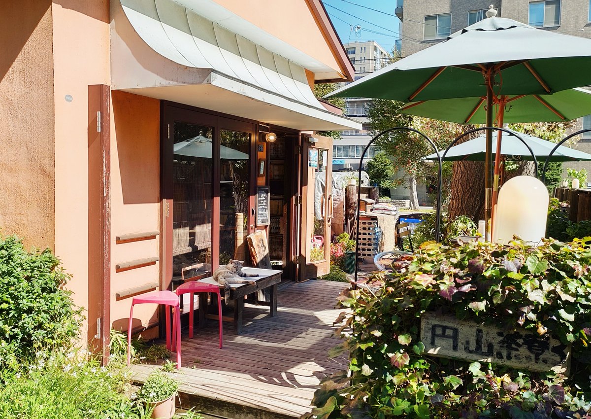 9/29の遅めの朝食
円山茶房さんへ✨
雑炊とおじやをいただき、食後に栗白玉ぜんざいで〆ました👍
どれも美味しく、そしてとても落ち着く店内🍀
看板ネコ様にも会えて、癒されました🎵

 #札幌グルメ #カフェ #円山茶房 #円山 #看板猫
