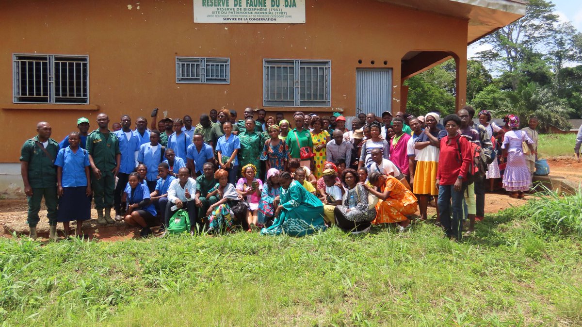 Engaging the Community for a Bioblitz in Cameroon! 🌲🌳🐝🪲🐞 JRS grantee ICIPE successfully organized over 170 community participants to document pollinator biodiversity in diverse sites around Cameroon. jrsbiodiversity.org/wp-admin/post.…   #CameroonBioblitz