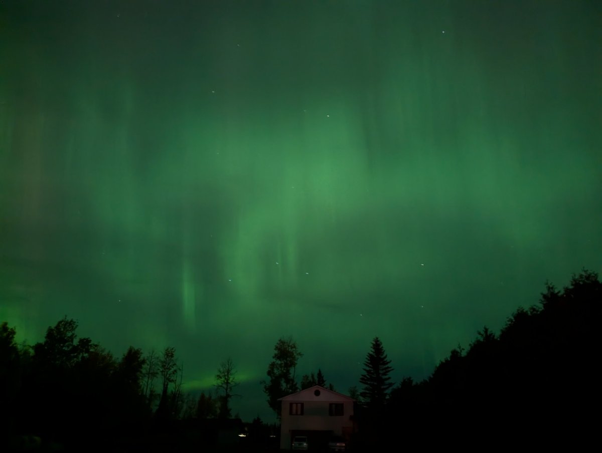 Alistair Vaz tweet media