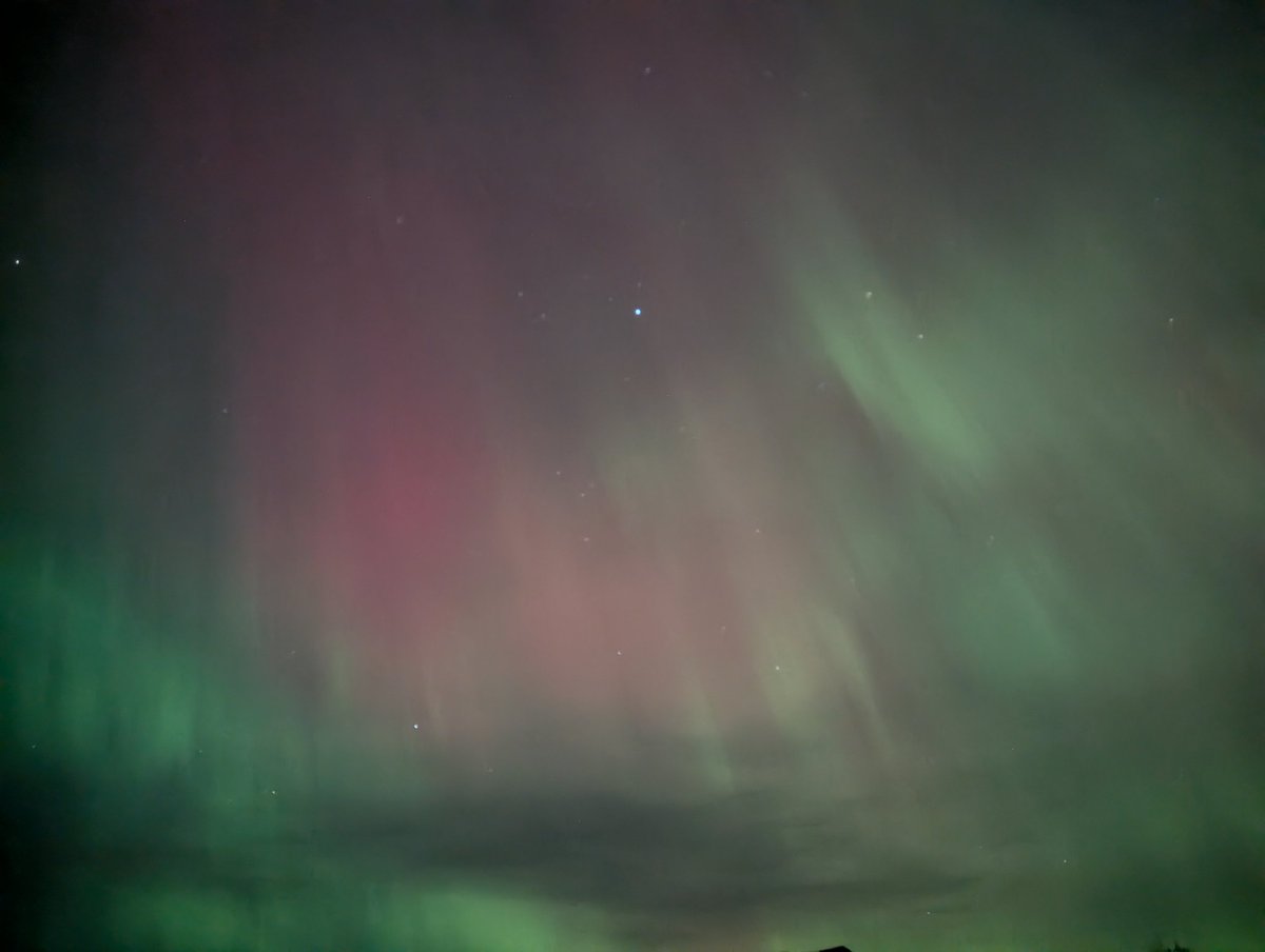 Alistair Vaz tweet media