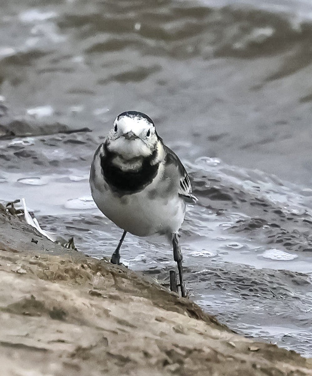 Marc Hunt tweet media