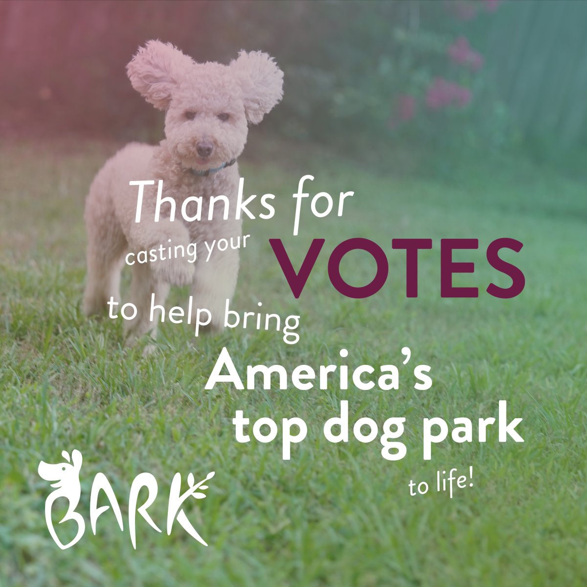 WyldOaks's tweet image. 🐾 Thank you to everyone who participated in the BARK crowdsourcing initiative! Stay tuned for more updates as our team works together to develop the ultimate design for America&apos;s Top Dog Park! 

 #Apopka #Orlando #BranchOut #WyldOaks #BARK #AmericasTopDogPark