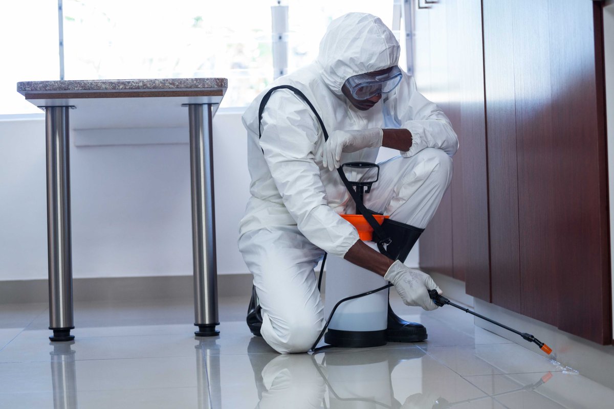Procuria_DS's tweet image. Keep on top of your pests this Winter! 🐀

Read our new website article to see why pests are a serious problem, and the consequences of ignoring them.

Find out how we can help you now. 👉 zurl.co/mwvg

#PestControl #RetailServices