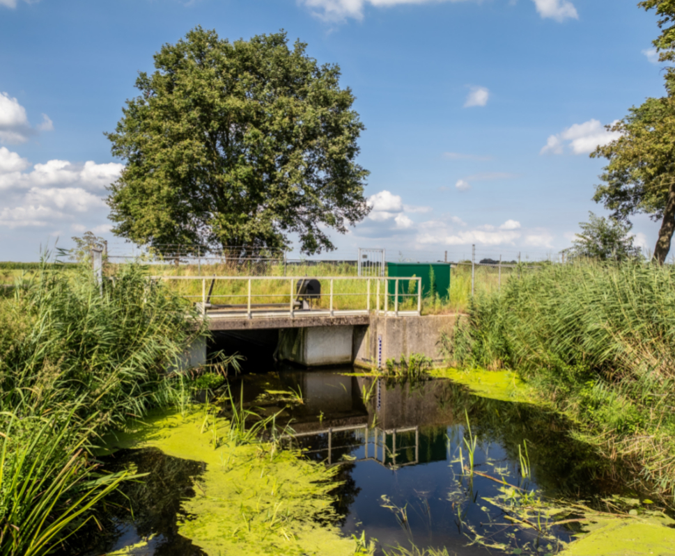 De jaren 2023 en 2024 zijn extreem nat geweest. Hierdoor zijn de grondwaterstanden in Limburg nog steeds hoog of zelfs zeer hoog voor de tijd van het jaar. Hier bereidt Waterschap Limburg zich stevig op voor. Lees het volledige artikel hier 👉 waterschaplimburg.nl/actueel/2024/v…