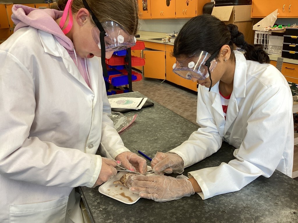 Lakeview tweet media