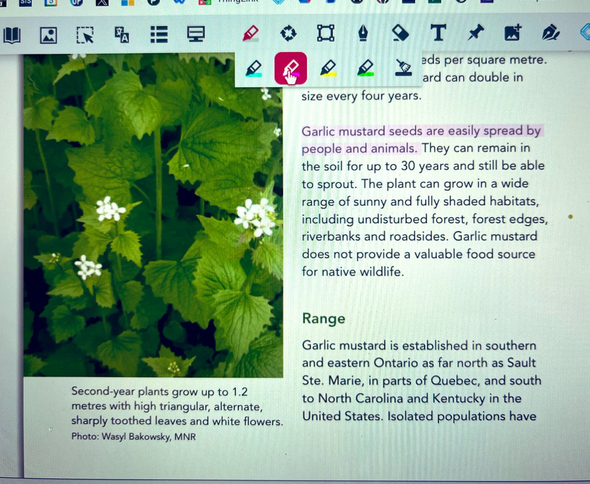 MrsDorsey_ocsb's tweet image. Have you tested out @texthelp #OrbitNote ? It allows students to scan a PDF to listen and gather key information! Ask your #ocsbATM if you are wanting to learn more! #accessibilitytools