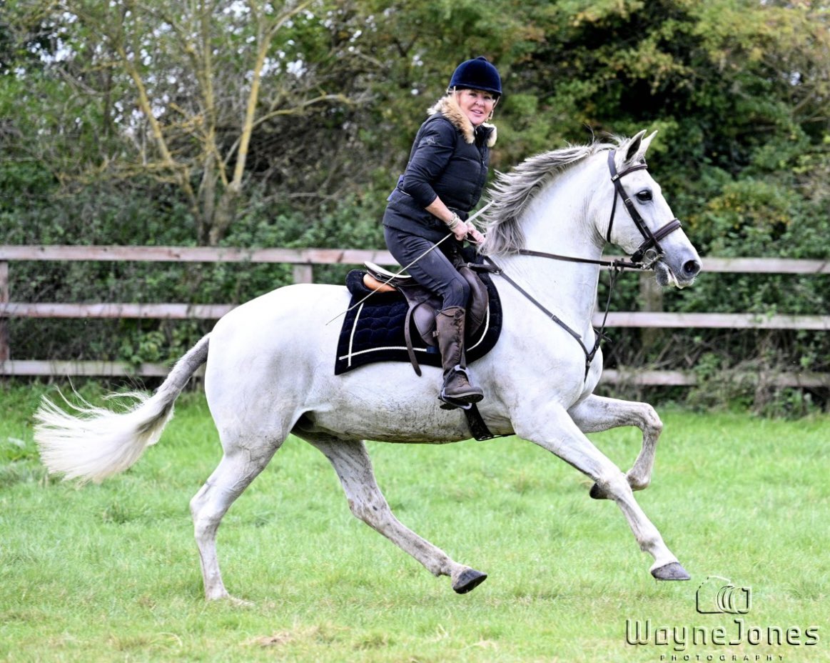 Reporterbird's tweet image. Loving life &amp;amp; the countryside. #horse #freedom #today