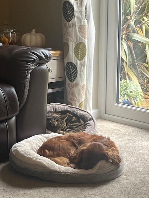 Andy Bowditch tweet media