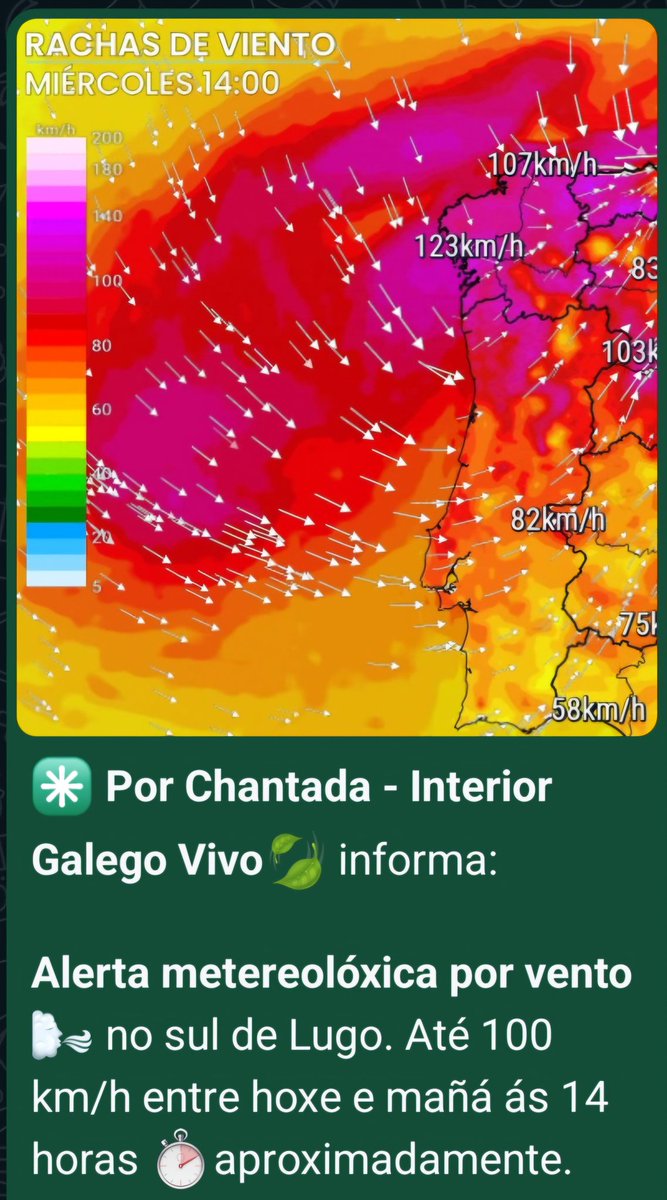 CUPChantada's tweet photo. https://t.co/iPf55zADgl