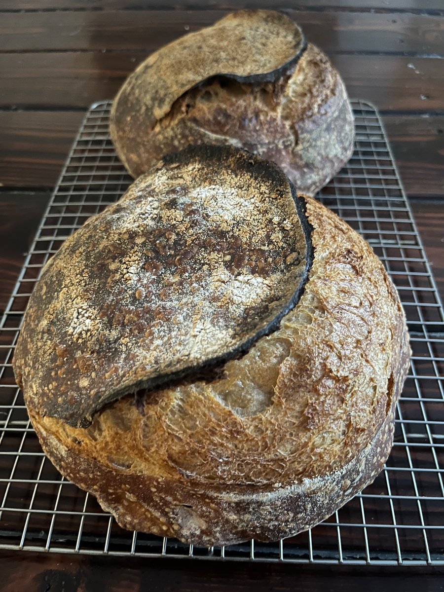 Alex LoRe tweet media