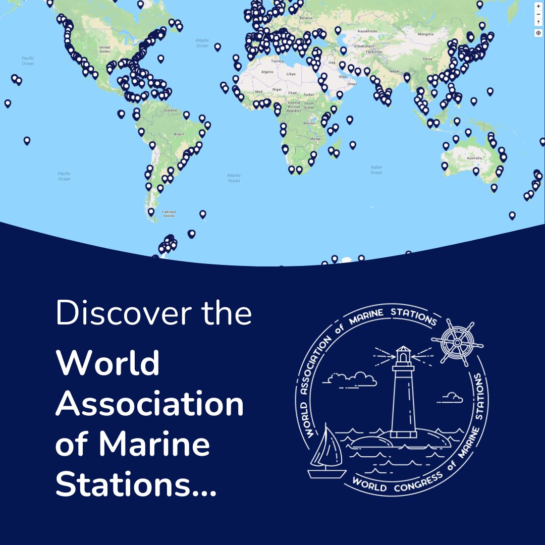 Plymouth Marine Lab (@plymouthmarine) on Twitter photo "Marine stations are part of an incredible worldwide resource, and if we work together, we can do amazing things." - Professor Matthew Frost (<a href="/MattFrost2/">Matt Frost</a>)
Find out more and add your station to the Atlas: worldmarinestations.com/the-world-mari… "Marine stations are part of an incredible worldwide resource, and if we work together, we can do amazing things." - Professor Matthew Frost (<a href="/MattFrost2/">Matt Frost</a>)
Find out more and add your station to the Atlas: worldmarinestations.com/the-world-mari…
