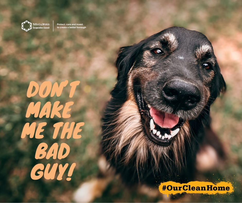 See it? Report it! 

😡 Our staff have cleared record numbers of dog poo this year - more than 1,000! 

Report it 
🖱 orlo.uk/svJ66
📞 Confidential hotline 388 800

🖊️ Survey orlo.uk/KGRc3

orlo.uk/ZuETN