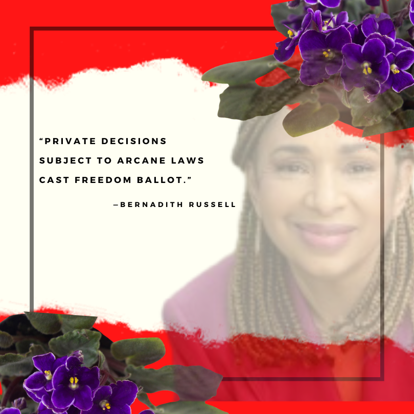 Making a real impact through political action is a priority for the Brooklyn Alumnae Chapter of Delta Sigma Theta Sorority, Inc. Central to this effort is the fundamental act of voting.