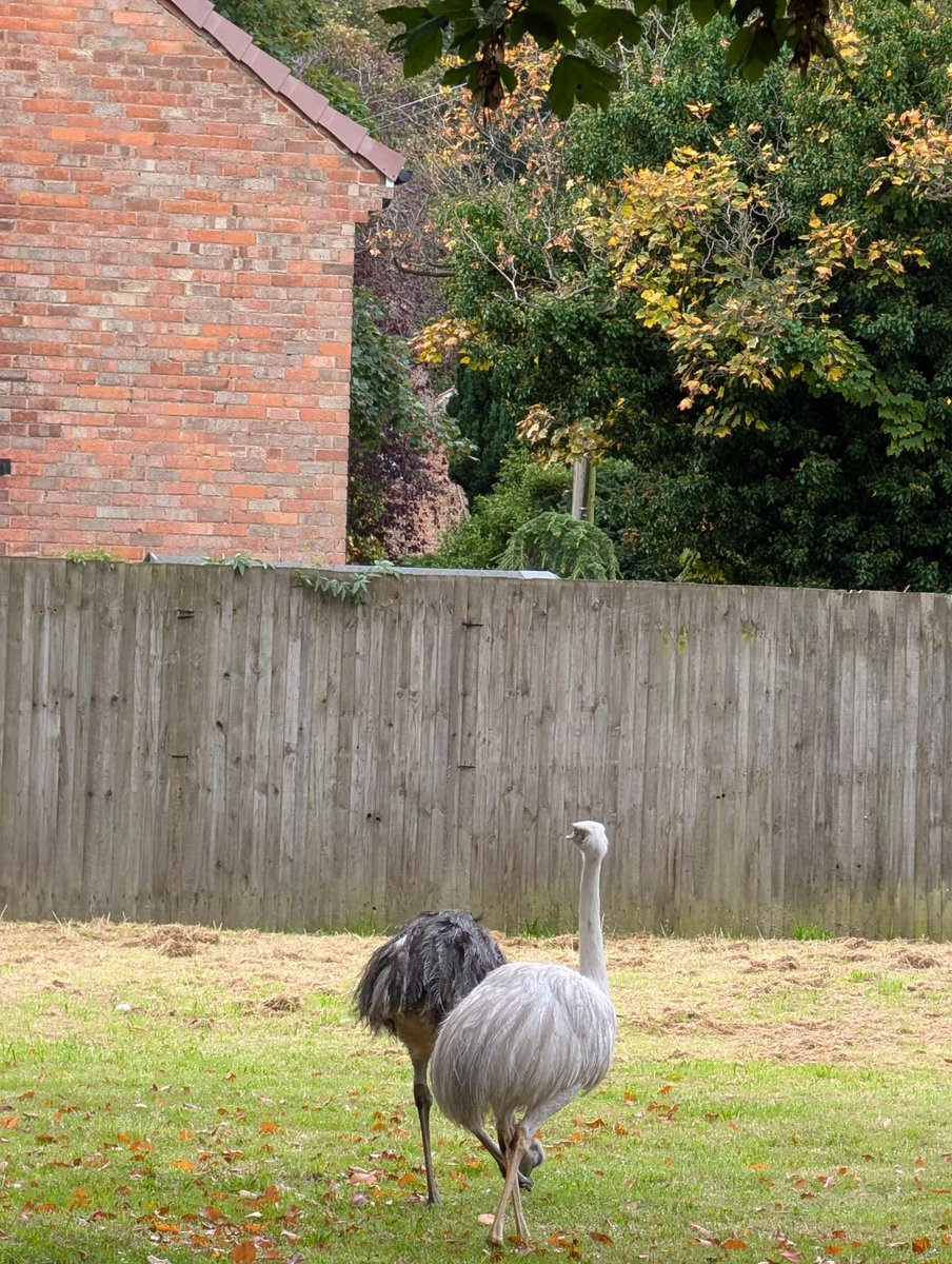 We’re not here anymore – formerly @MobileLbryYork tweet media