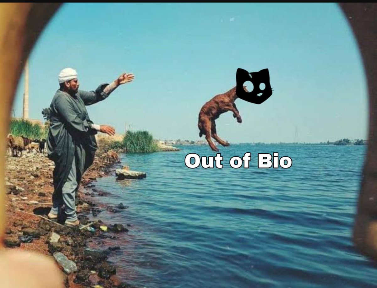 #CATS
اللي بعده