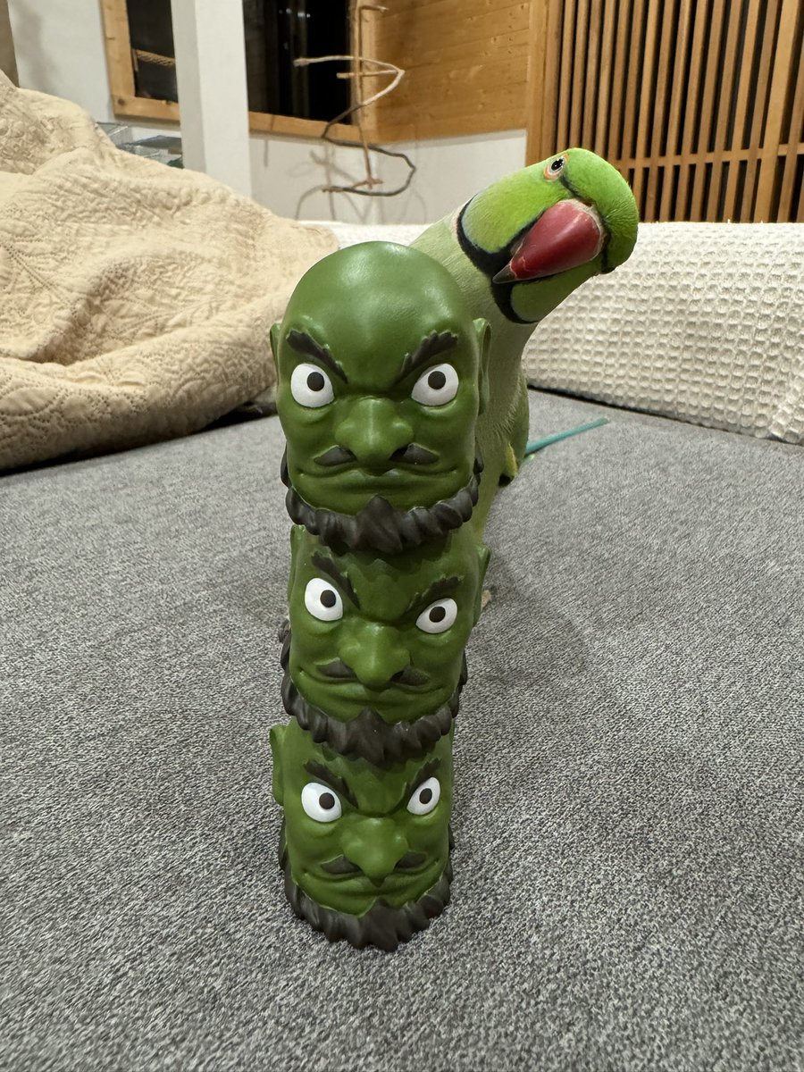 ひよこ豆@鳥豆堂【バードアスレチック・カクタスパーチ