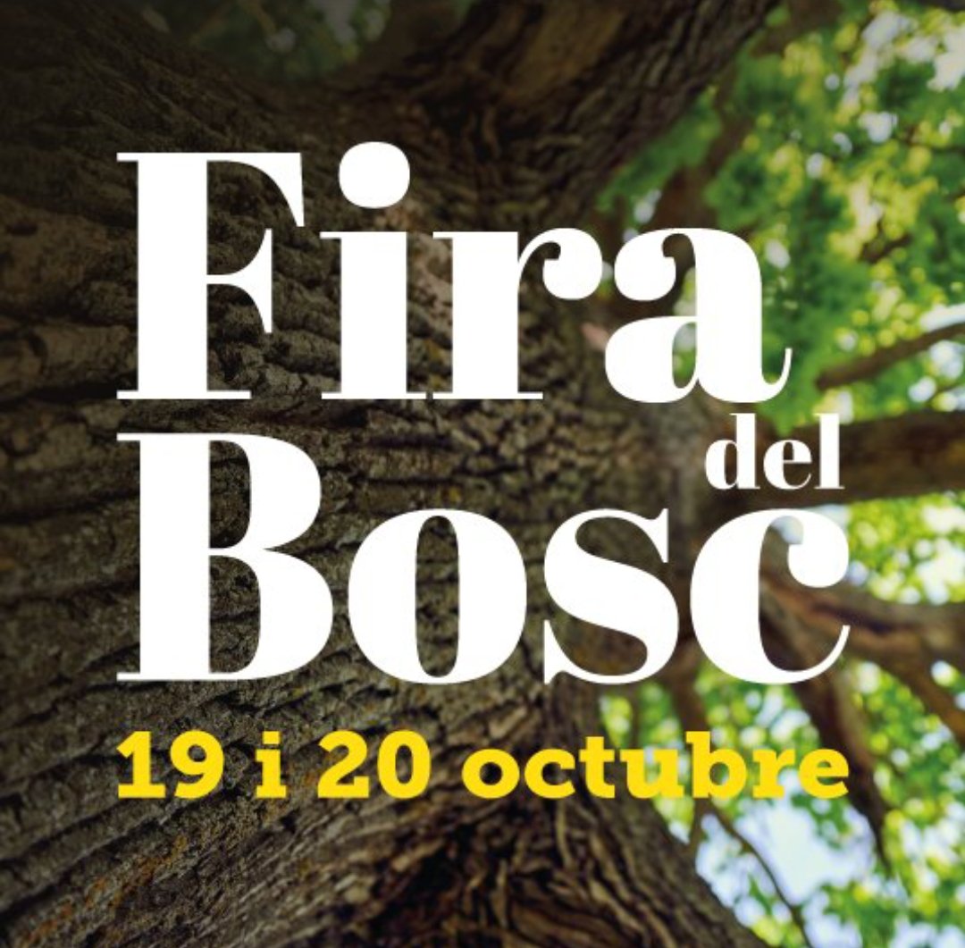 Sant Celoni es prepara per viure la X Setmana del Bosc del 18 octubre a 9 de novembre:
🌿Fira del Bosc
🌿Jornades tècniques i conferències
🌿Instal·lacions artístiques Bosc i Sentits
🌿Brots de poesia als aparadors 
🌿Menú de bosc