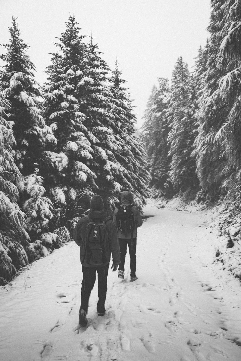 Connor James Ibbetson tweet media