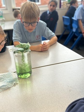 StVincentsPr's tweet photo. Year 6 have enjoyed learning about osmosis in Science today #passionateaboutlearning https://t.co/FlOJlBlTuj