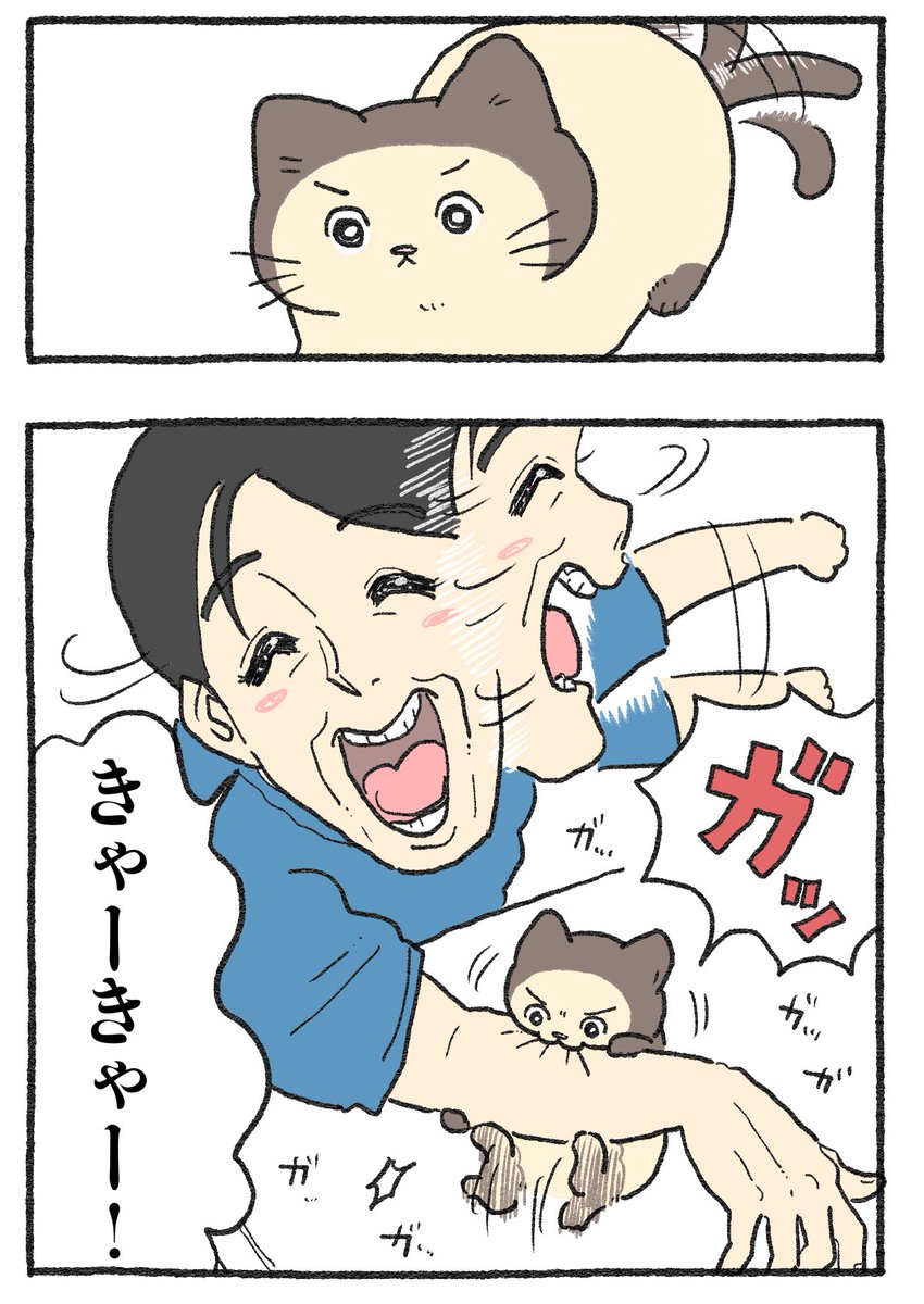 ねこに転生したおじさん。その565