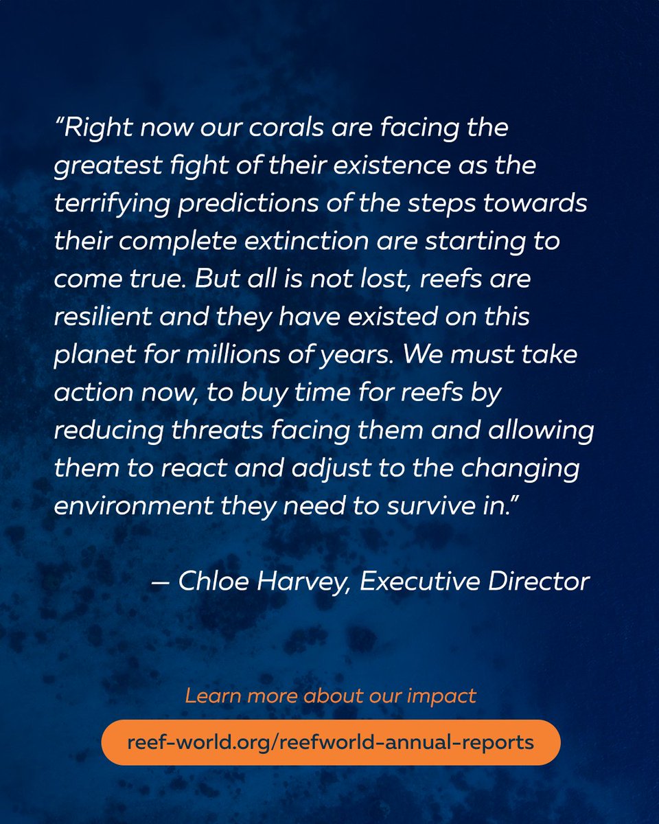 🪸 Today, Reef-World released the 2023-2024 Impact Report outlining a year of substantive growth and impact in our marine conservation programmes.

Learn more about our impact 👇
reef-world.org/reefworld-annu…

📷  Karim Iliya | Kogia