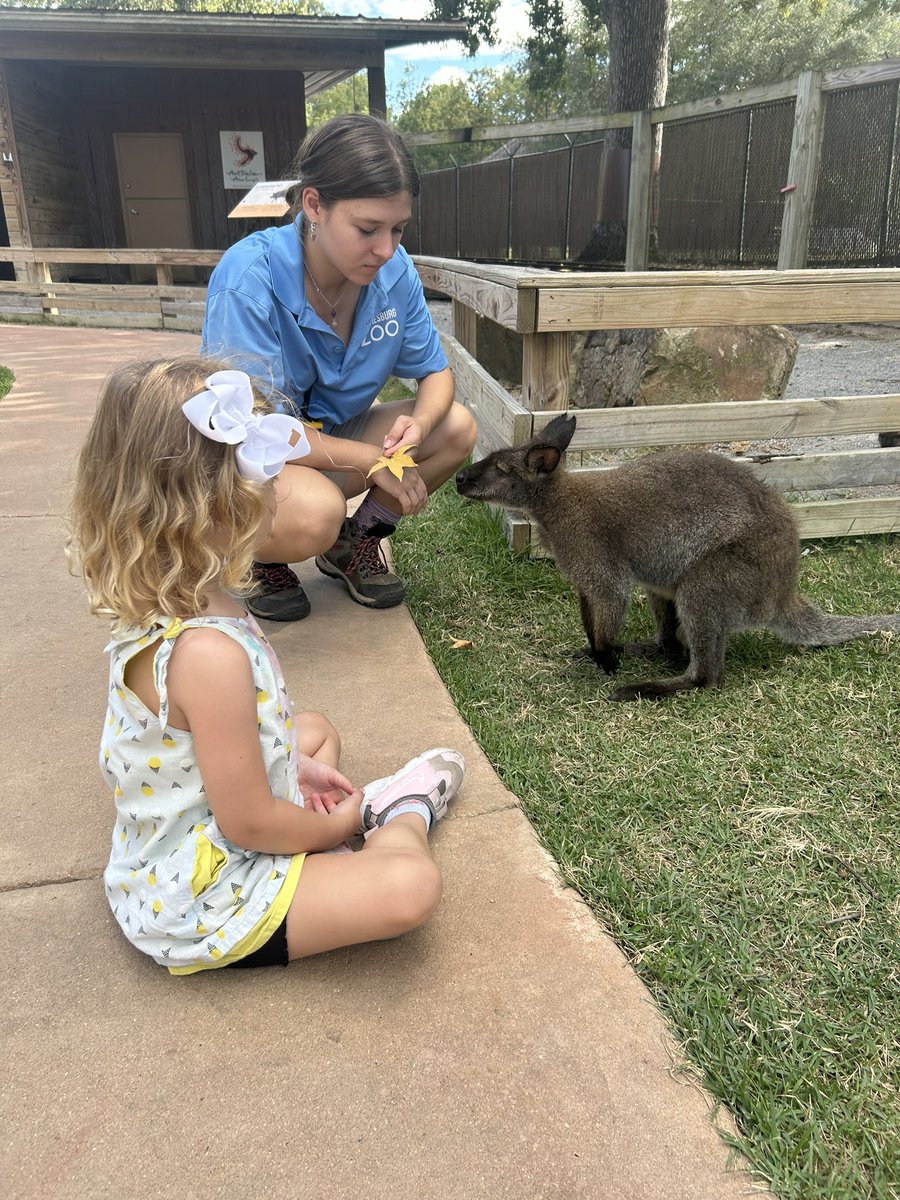 I love it when I run into #nexusms prepared USM educators hidden in plain sight!  
🌟Intern Kyle (earning extra credit through Dr. Baudier’s BSC 201 undergraduate zoology class)
🌟Volunteer seeking passion driven opportunities turned Zoo Employee (Isabel Duplantis)

#SMTTT
