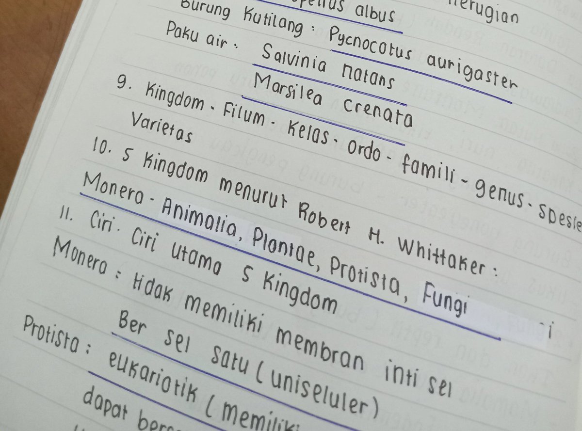 theeflences's tweet photo. —  🫧 𝙨𝙩𝙪𝙙𝙮 𝙥𝙧𝙤𝙜𝙧𝙚𝙨𝙨 [ 081024 ]

biologiiii!!! huh mana sempet bikin catetan estetik spt punya org org, aku yang penting materi buat besok udah ke rangkum dan paham😴😴😴😴☝️☝️☝️ https://t.co/xqlrGwQyyV