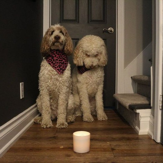 Praying for those in the path of #HurricaneMilton 
Please be safe all + let us know you're all ok. If there is something you need we will do our best to retweet for you 🙏