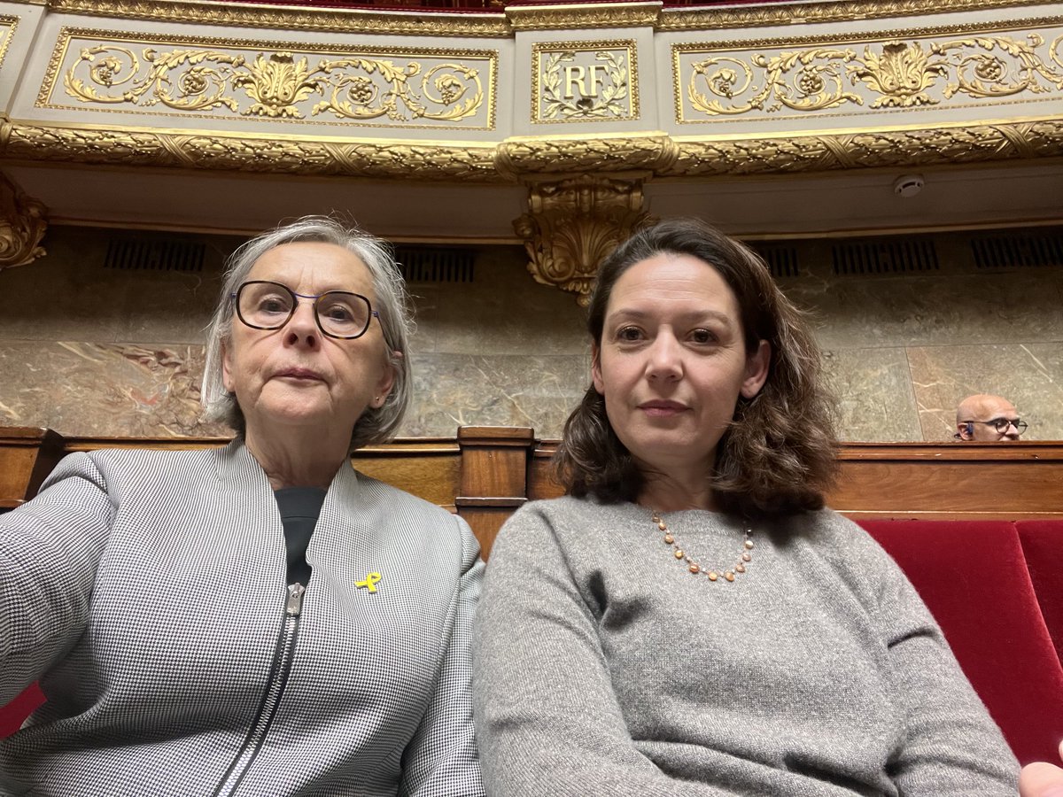 Quelle régression quand le ministre de l’intérieur s’adresse dans l’hémicycle à « Messieurs les députés » oubliant de fait les 208 députées soit 37% de la représentation nationale !
#egaliteFH #parite