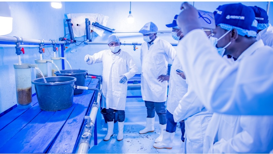 #TAAT is recognized for supporting #Rwanda in establishing the capacity to certify private tilapia hatcheries. The #TAATFish Compact, led by 
<a href="/WorldFishCenter/">WorldFish</a>, with support from the #TAATClearinghouse, trained 16 hatchery operators, developed SOPs, and conducted practical