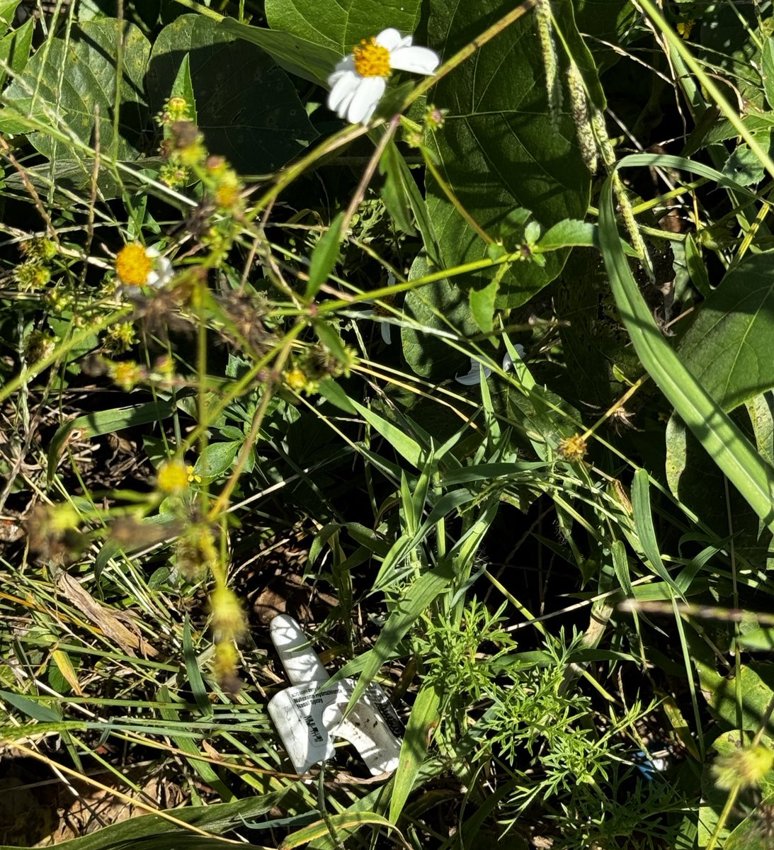 Community service involves leaving each spot better than we found it. Monday’s spot sensed our tired souls &amp; validated the importance of putting #naloxone into the hands of those that most need it💚
#harmreduction saves lives