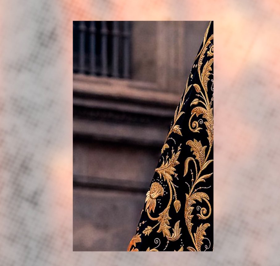 PTV Sevilla tweet media