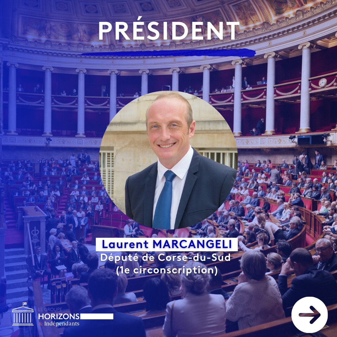 Députés Horizons & Indépendants tweet media