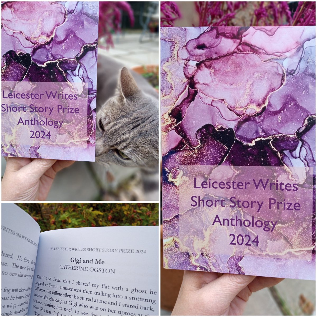 Catherine Ogston (@catherineogston) on Twitter photo Lovely to see 'Gigi and Me' in the <a href="/LeicesterWrites/">Leicester Writes</a> anthology. Thanks to Leo for helping to model 😺 Lovely to see 'Gigi and Me' in the <a href="/LeicesterWrites/">Leicester Writes</a> anthology. Thanks to Leo for helping to model 😺