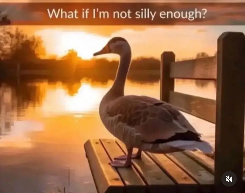 hourly_shitpost's tweet photo. ㅤ https://t.co/E0O0R4OK8a