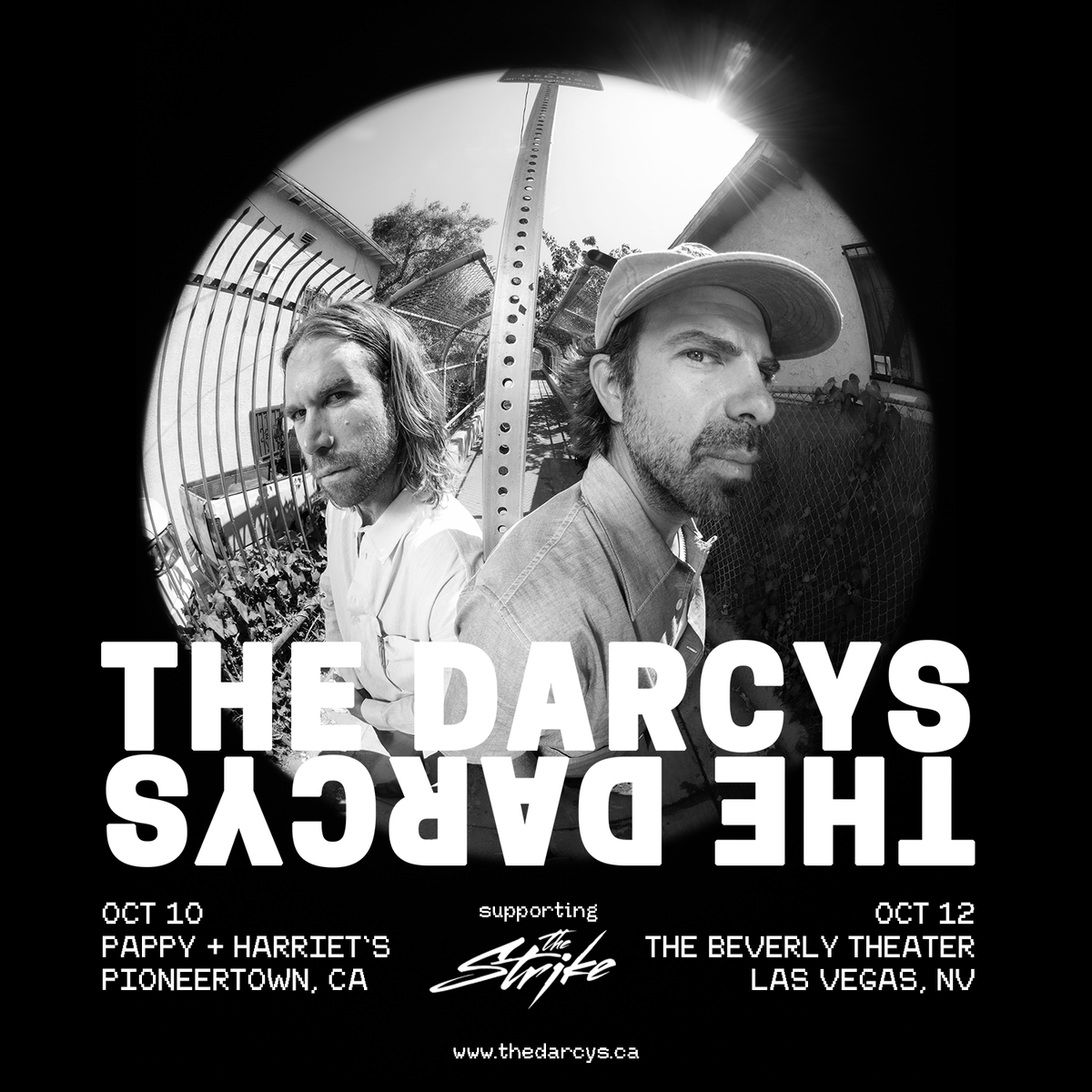 The Darcys tweet media