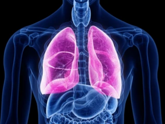 Rosa for QSP tweet media