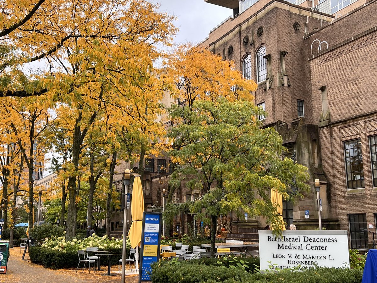 Monika Vyas (@mvgs1706) on Twitter photo <a href="/BIDMCpath/">BIDMC Pathology</a> & <a href="/harvardmed/">Harvard Medical School</a> #GIpath course has concluded! Thanks to all the attendees!
Shoutout to our future #GIpath fellows <a href="/dianachenfd/">Feidi Chen</a> & <a href="/lishawang9/">Lisha Wang, MD, PhD</a> for live updates on #pathX. Big thanks to <a href="/LizMontgomeryMD/">Elizabeth Montgomery, MD</a> <a href="/johnhart20/">John Hart, MD</a> <a href="/RaulSGonzalezMD/">Raul S. Gonzalez, MD</a> <a href="/Vik_deshpandeMD/">Vikram Deshpande</a> <a href="/JLHornick/">Jason L. Hornick, M.D., Ph.D.</a> <a href="/jnglickman/">Jonathan Glickman</a> <a href="/BIDMCpath/">BIDMC Pathology</a> & <a href="/harvardmed/">Harvard Medical School</a> #GIpath course has concluded! Thanks to all the attendees!
Shoutout to our future #GIpath fellows <a href="/dianachenfd/">Feidi Chen</a> & <a href="/lishawang9/">Lisha Wang, MD, PhD</a> for live updates on #pathX. Big thanks to <a href="/LizMontgomeryMD/">Elizabeth Montgomery, MD</a> <a href="/johnhart20/">John Hart, MD</a> <a href="/RaulSGonzalezMD/">Raul S. Gonzalez, MD</a> <a href="/Vik_deshpandeMD/">Vikram Deshpande</a> <a href="/JLHornick/">Jason L. Hornick, M.D., Ph.D.</a> <a href="/jnglickman/">Jonathan Glickman</a>