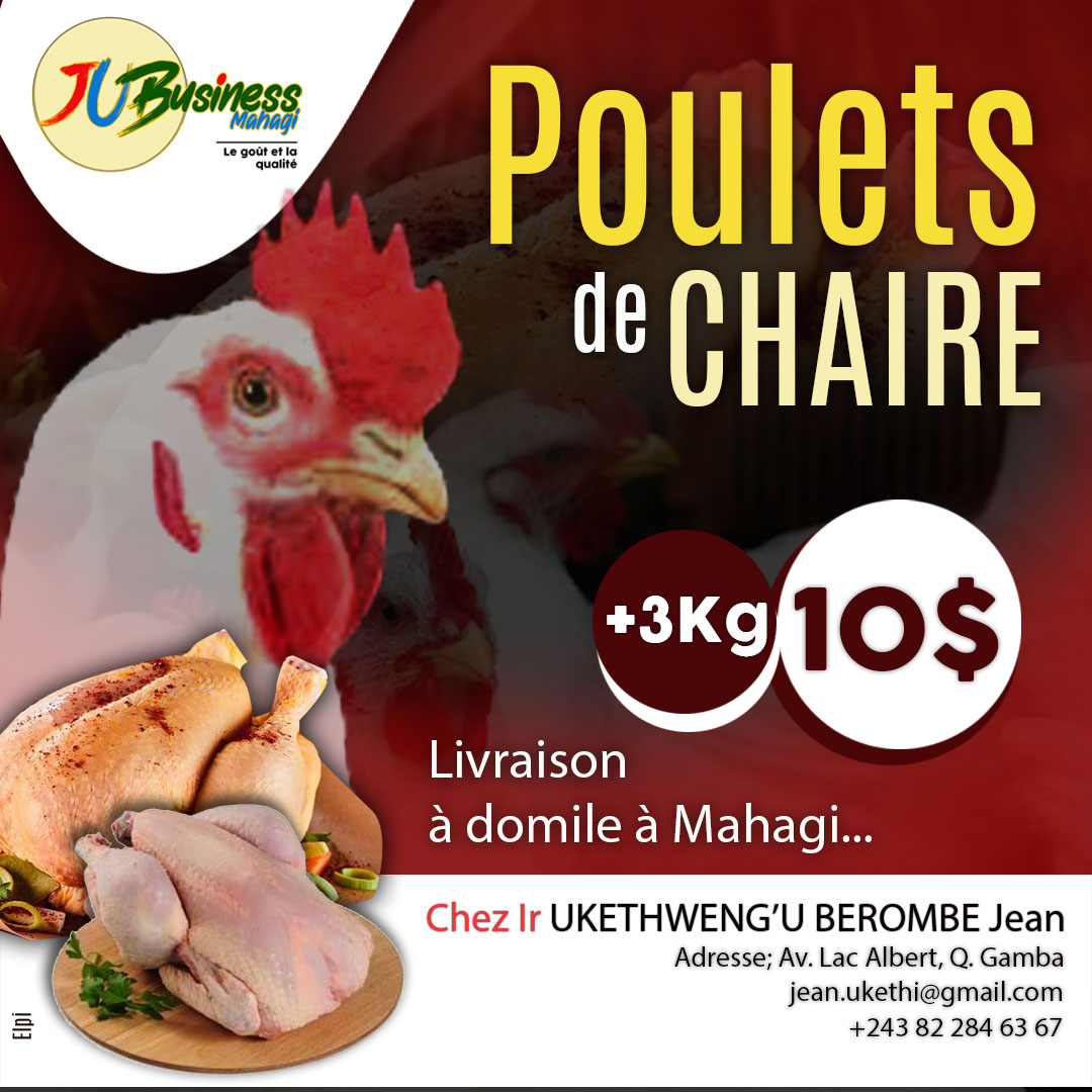 🚨 Bonne nouvelle pour Mahagi ! Avec #JUBusiness, dégustez des poulets de chair de 3kg pour seulement 10 USD, livrés directement chez vous 🏡. Qualité, fraîcheur et goût garantis ! 📍 Av. Lac Albert, Q. Gamba
📞 +243 82 284 63 67 
#Livraison #Mahagi #Poulet