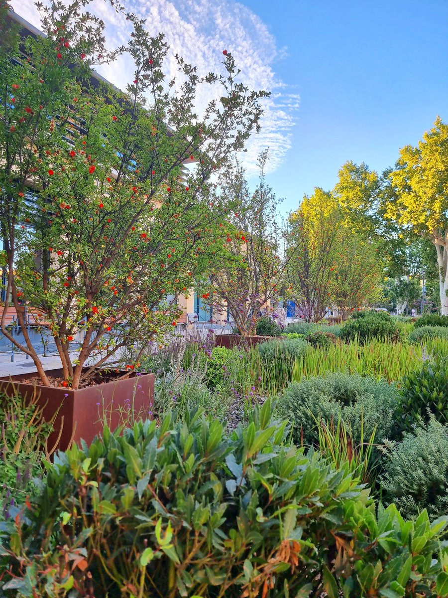 silvalandscapes's tweet photo. Not far from Marseilles, I revisited eix en  Provence, which is a small town. Those places like cotswold, tuscany and provence have magical atmosphere.  As soon as I arrived, I found this beautiful pocket garden and thought, " I am in the right place. https://t.co/EHmkzSq9QA