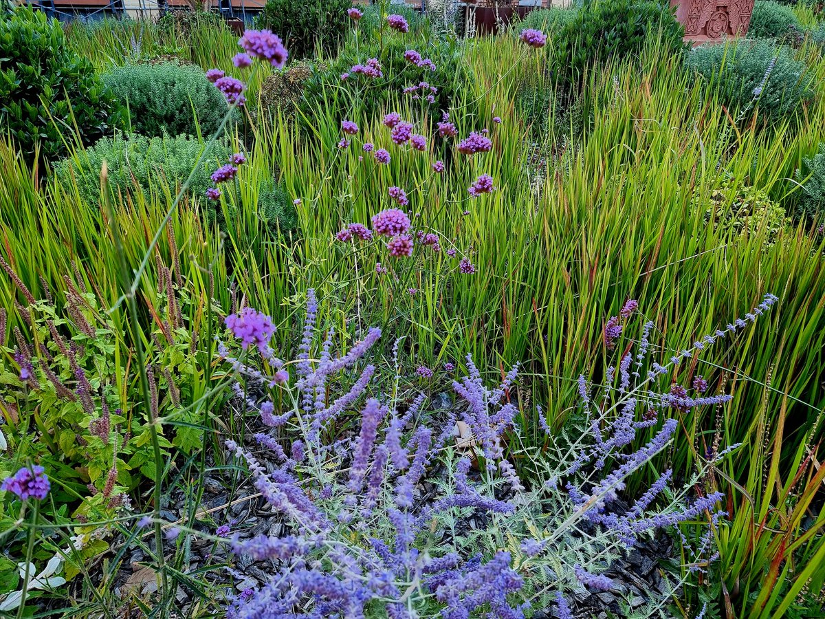 Not far from Marseilles, I revisited eix en  Provence, which is a small town. Those places like cotswold, tuscany and provence have magical atmosphere.  As soon as I arrived, I found this beautiful pocket garden and thought, " I am in the right place.