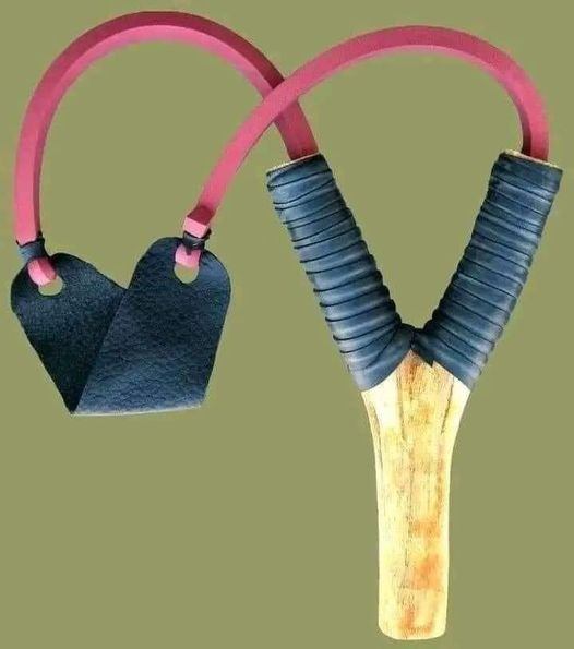 African Hub tweet media