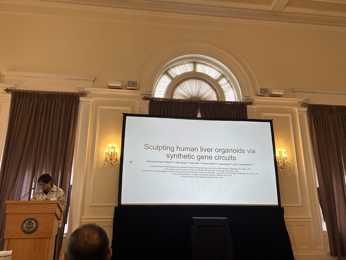 Yuda Xiang discussing work in <a href="/MoEbrahimkhani/">Mo Ebrahimkhani</a>⁩ lab on liver organoids ⁦<a href="/PLRC_PittLiver/">PLRC</a>⁩ ⁦@DrPMonga⁩ ⁦