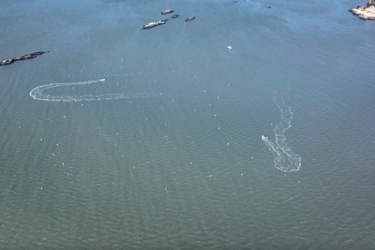 The TreadRight Foundation tweet media