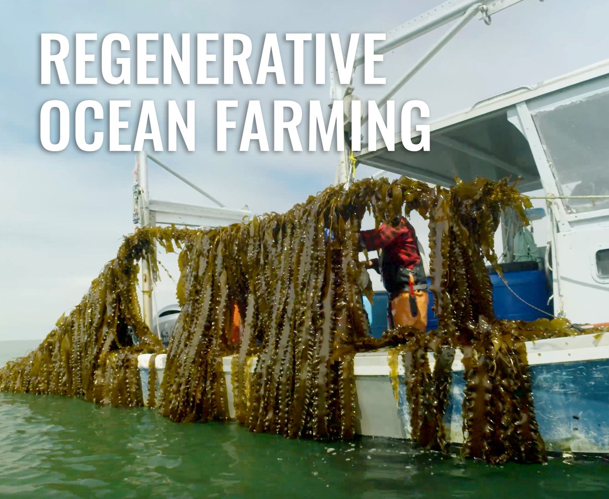 The TreadRight Foundation tweet media