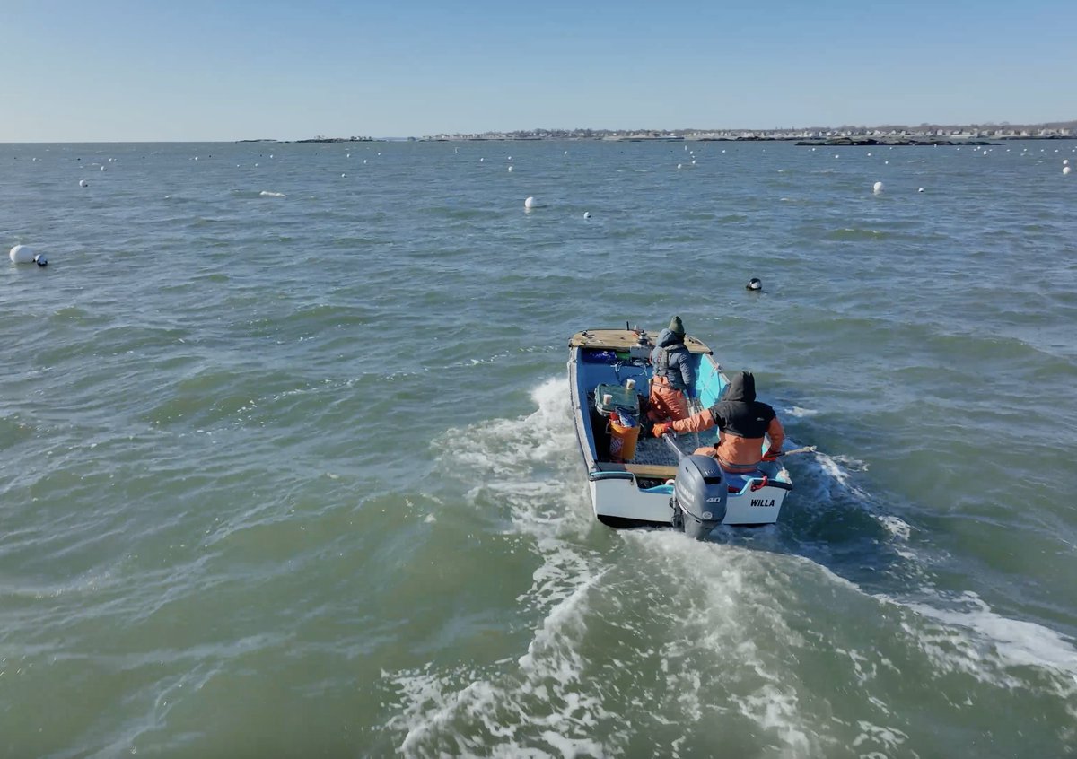 The TreadRight Foundation tweet media